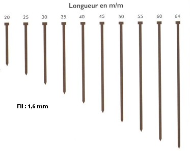 AGRAFFE TIP